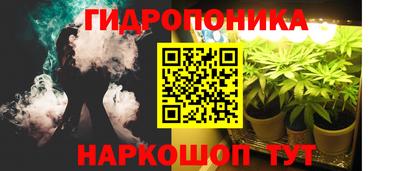 индика Балахна