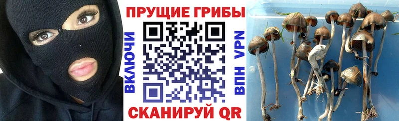 KRAKEN как войти  Верхний Уфалей  дарк нет какой сайт  Галлюциногенные грибы мицелий 