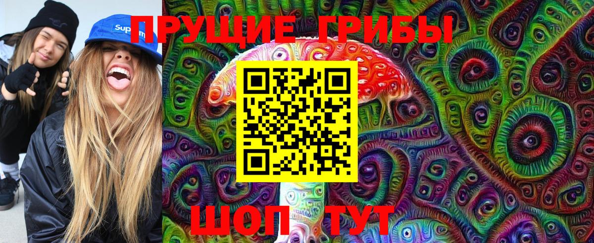 Галлюциногенные грибы Psilocybe Верхний Уфалей