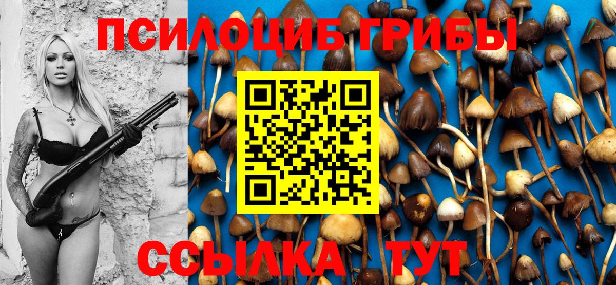 купить наркотики сайты  Верхний Уфалей  Галлюциногенные грибы мицелий 