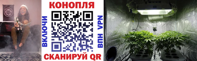 Конопля семена  закладки  Верхний Уфалей 